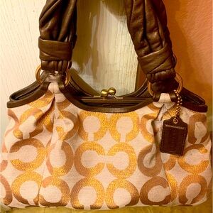 Ladies bag